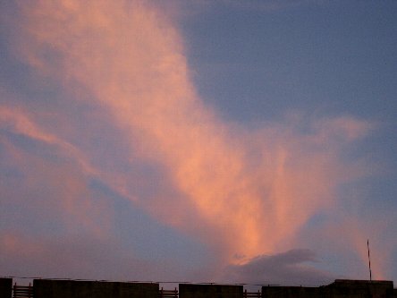 a0160373_19503887.jpg