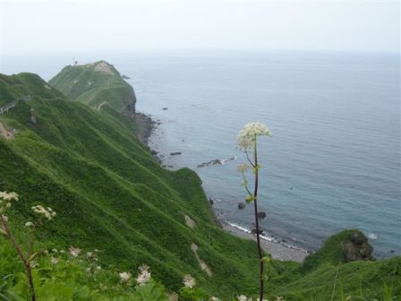 楽しい北海道の旅でした。_c0172180_9463528.jpg