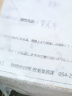 f0228680_9401883.jpg