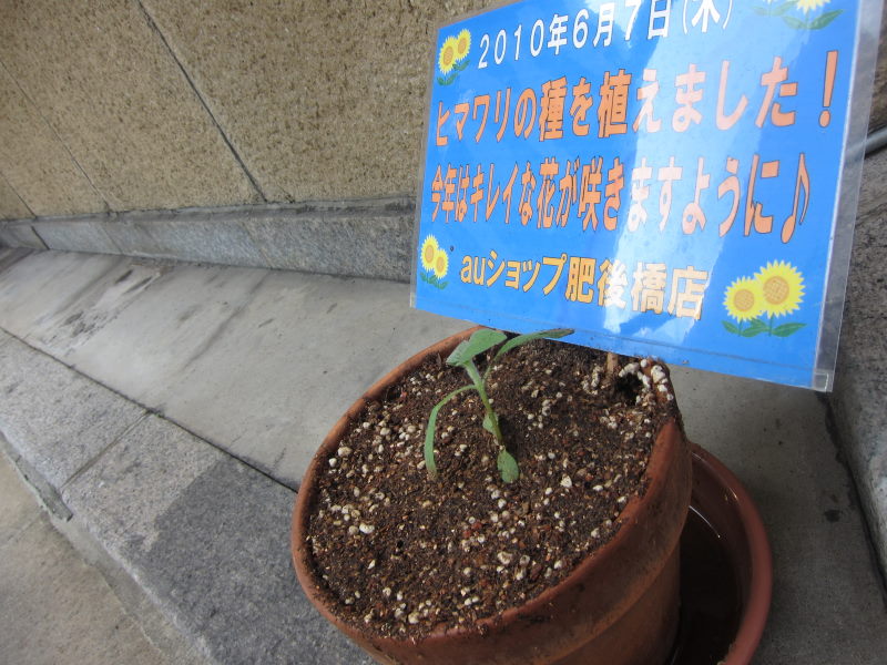 買い食いポタ＋カレーなべパーティ_e0138081_12284849.jpg