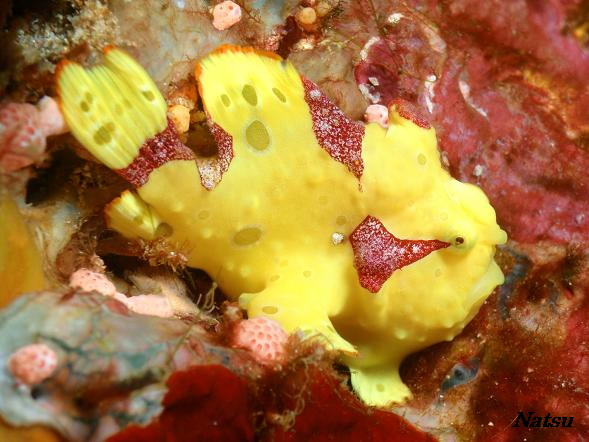 c0153583_20161036.jpg