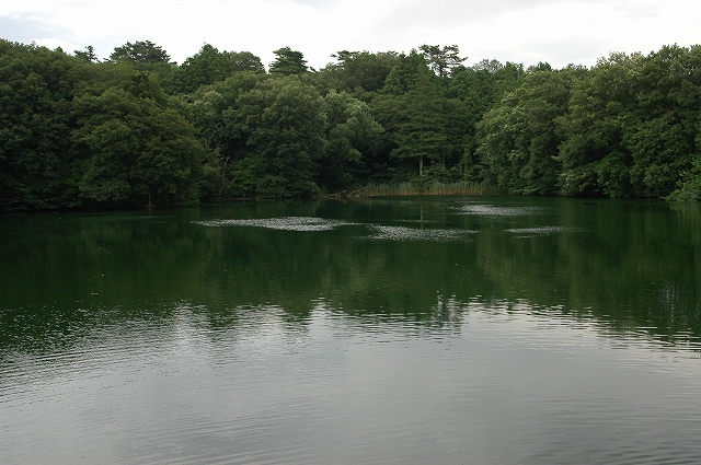 c0212083_22585955.jpg