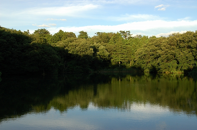 c0212083_230378.jpg