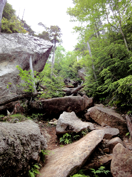 Mt.mizugaki / solo climbing_c0200391_1154333.jpg