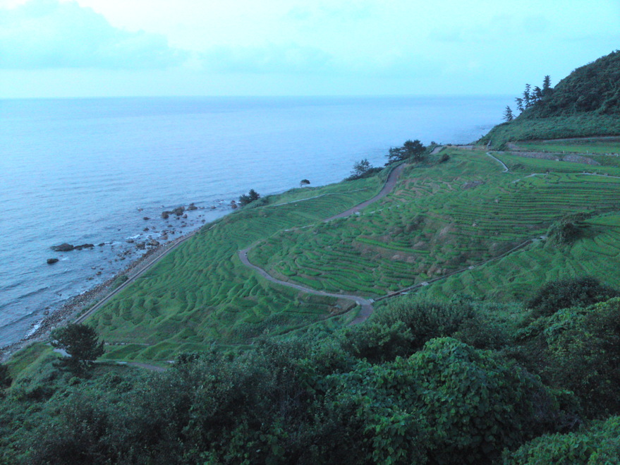c0095492_1642832.jpg
