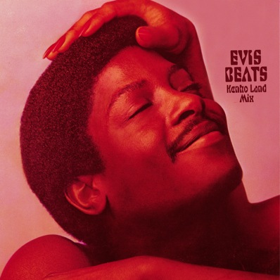 Evis Kenko Land Mixcd_d0112893_15501375.jpg