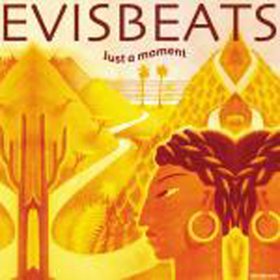 Evis Kenko Land Mixcd_d0112893_1550313.jpg