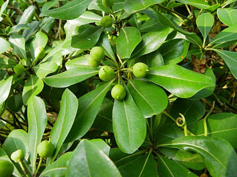 f0204094_20325770.jpg