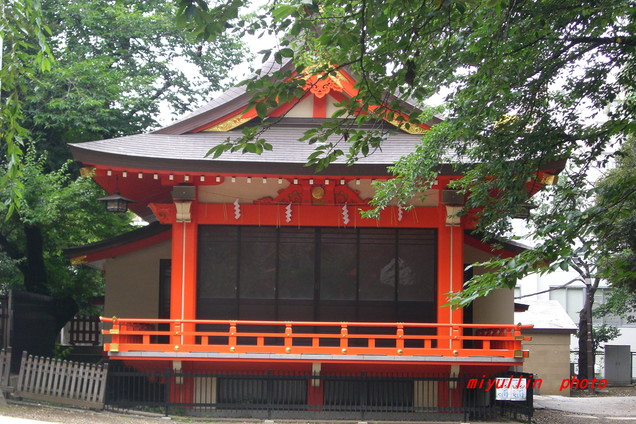 新宿　花園神社_b0109602_1432845.jpg