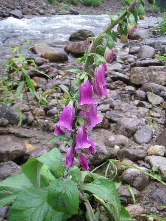 b0172805_3243998.jpg