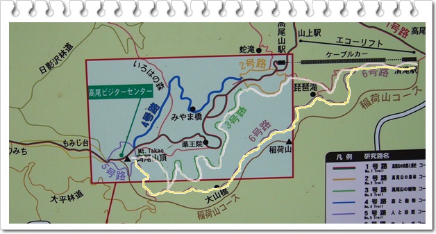 梅雨時の高尾山へ_c0051105_0582915.jpg