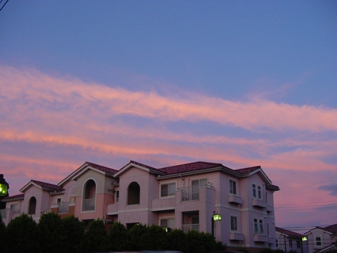 b0026408_03015.jpg