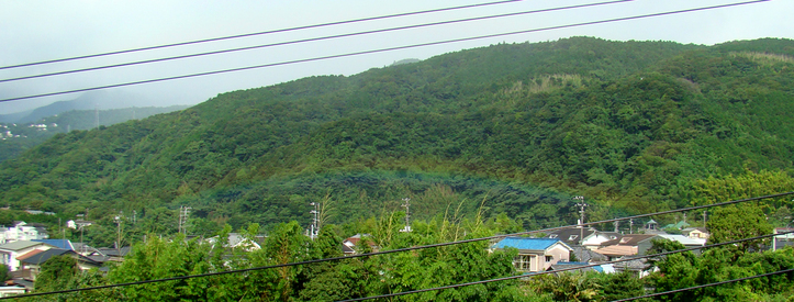 e0034012_1104581.jpg