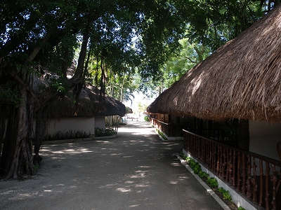 a0059315_0205815.jpg