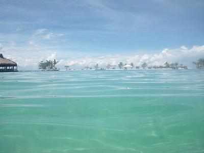 a0059315_033896.jpg