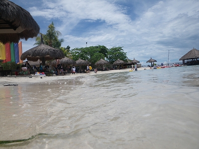 a0059315_0384139.jpg