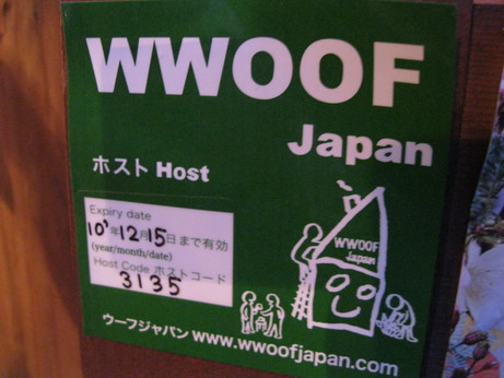 2010 IBIZA祭り~~_a0125419_10575169.jpg
