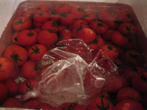 2010 IBIZA祭り~~_a0125419_1174170.jpg