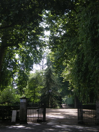 c0124619_3385838.jpg
