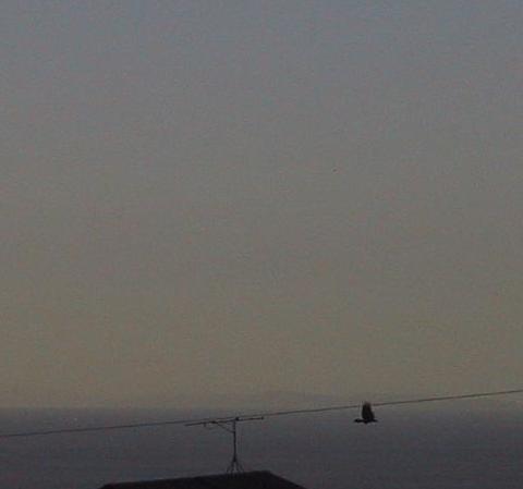c0097620_034897.jpg