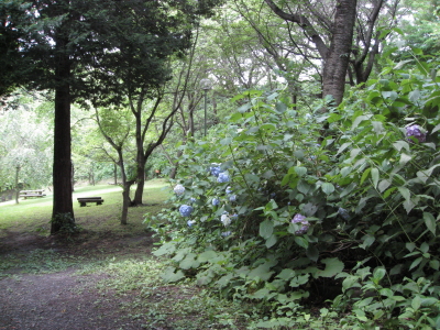 b0147224_22101847.jpg
