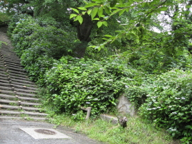 b0147224_22135557.jpg