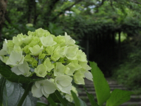 b0147224_2292660.jpg