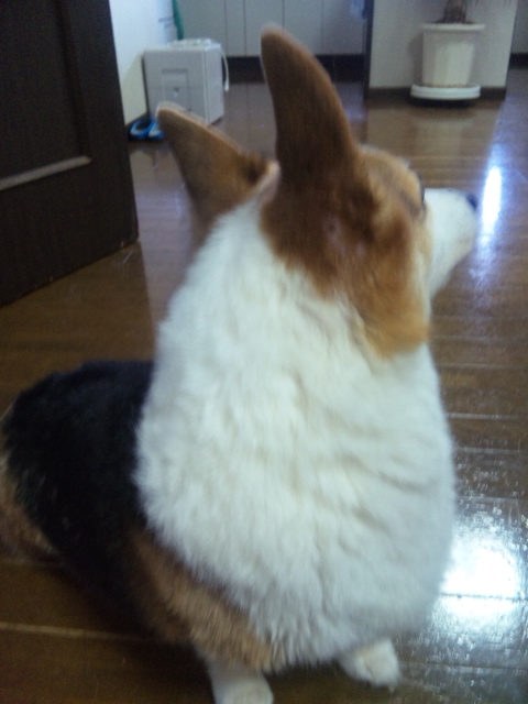 d0111435_15172680.jpg