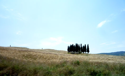 e0129137_72429.jpg