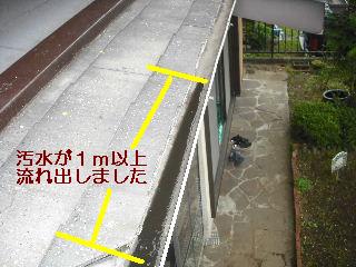 トイレ・白蟻緊急工事_f0031037_21211560.jpg