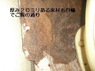トイレ・白蟻緊急工事_f0031037_21254784.jpg