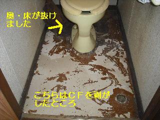 トイレ・白蟻緊急工事_f0031037_21255517.jpg