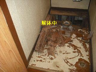 トイレ・白蟻緊急工事_f0031037_21265259.jpg
