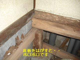 トイレ・白蟻緊急工事_f0031037_2127523.jpg