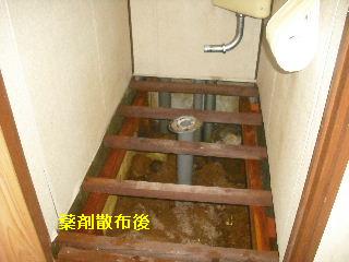 トイレ・白蟻緊急工事_f0031037_21304447.jpg
