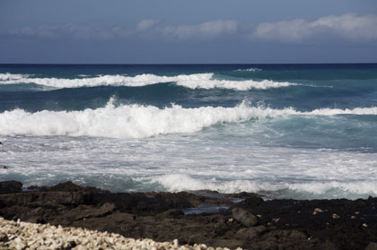 f0124737_6105177.jpg