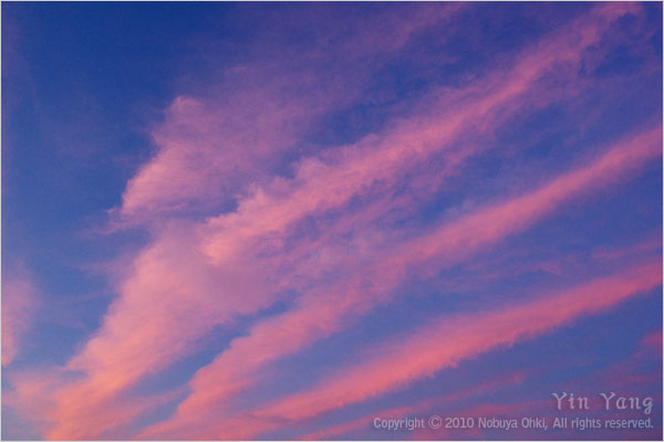 夏の夕焼け雲、東京_e0139738_1033142.jpg