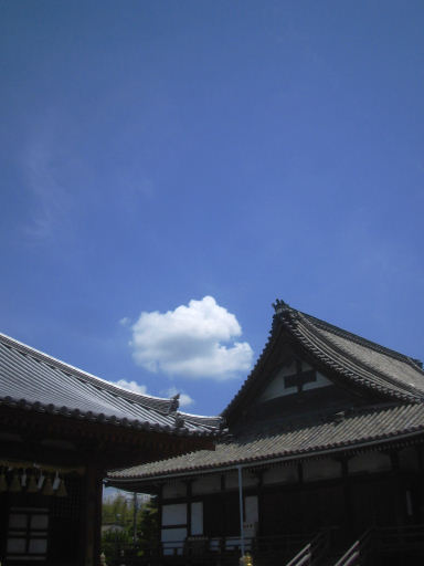 総持寺（そうじじ）散歩写真_c0191967_2044259.jpg