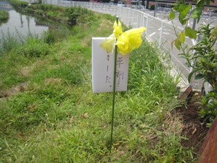 f0088569_72999.jpg