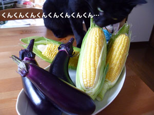 f0238772_15575712.jpg