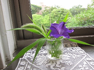 ダイアモンドの運び人_b0141773_0324345.jpg