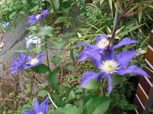 b0157276_2123746.jpg