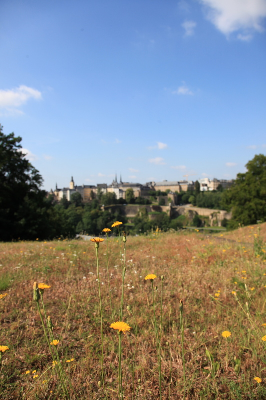 c0187779_75260.jpg