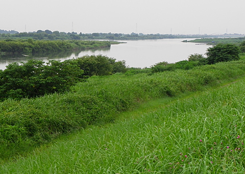 c0002682_1621548.jpg