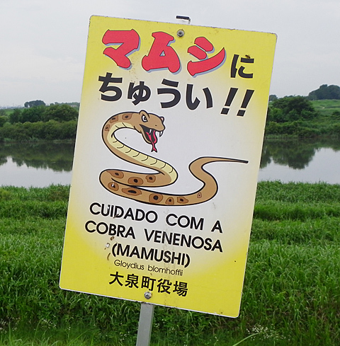 c0002682_1631466.jpg