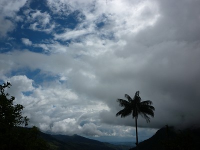 不思議の国　Cocora_e0150782_11271086.jpg