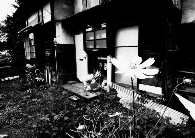凛として咲く花の如く 紅色リトマス 記憶の街角 レッドデータ 昭和 凛として咲く花の如く 紅色リトマス 記憶の街角 レッドデータ 昭和