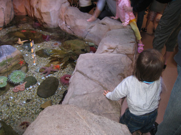 SEA LIFE_f0068883_14572065.jpg