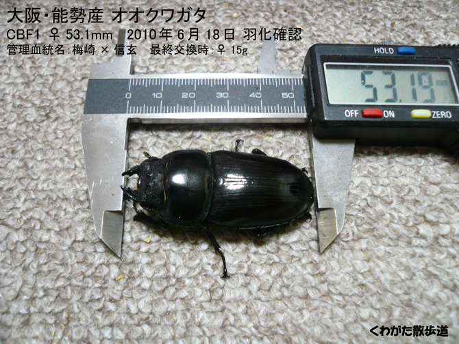 f0183484_22542740.jpg