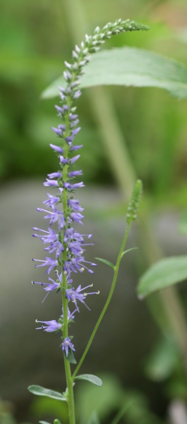 c0144185_18254238.jpg
